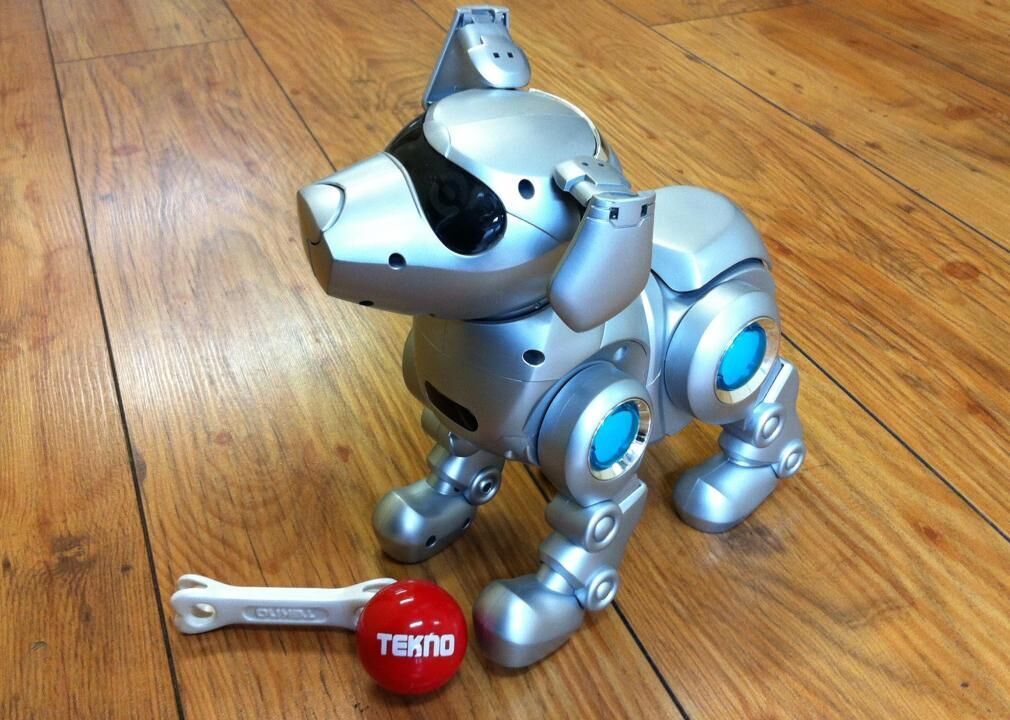 2013: Tekno the Robotic Puppy